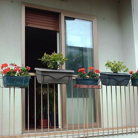 Guest House Cuore Del Friuli Удіне Екстер'єр фото