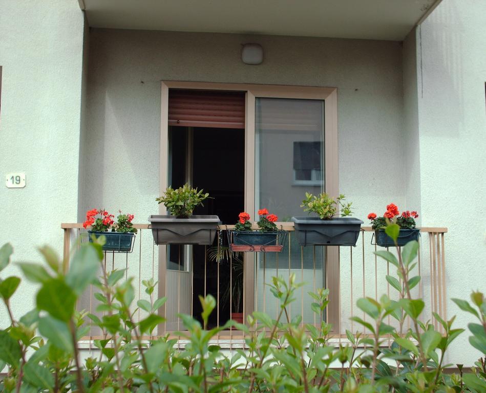 Guest House Cuore Del Friuli Удіне Екстер'єр фото
