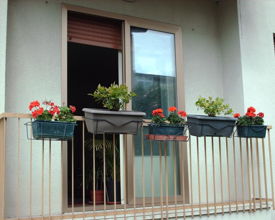 Guest House Cuore Del Friuli Удіне Екстер'єр фото